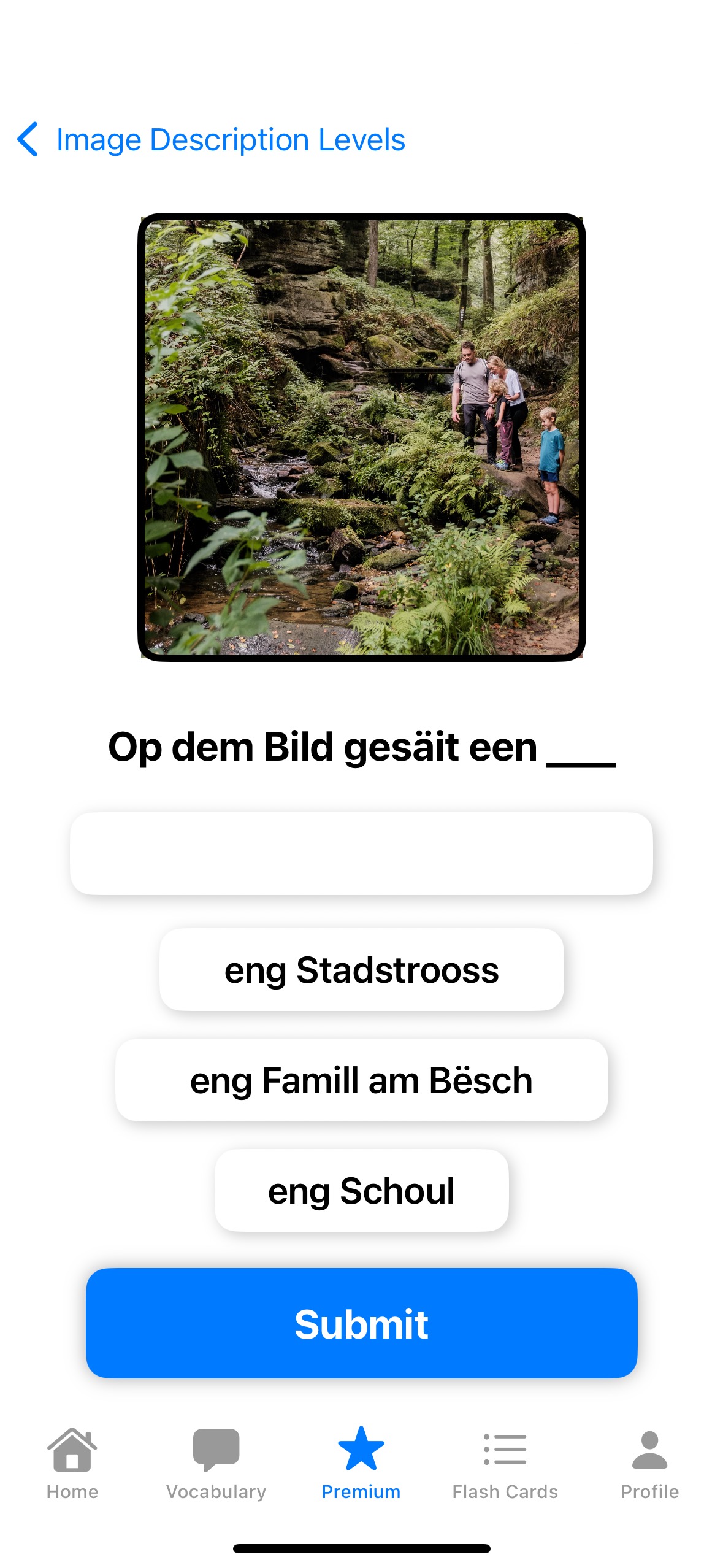 Premium Screenshot 3